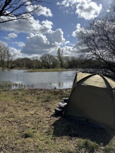 Swim of Poplar