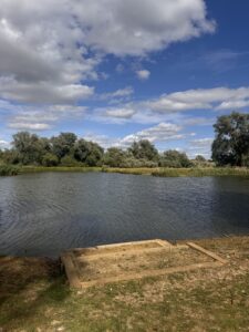 Poplar Swim